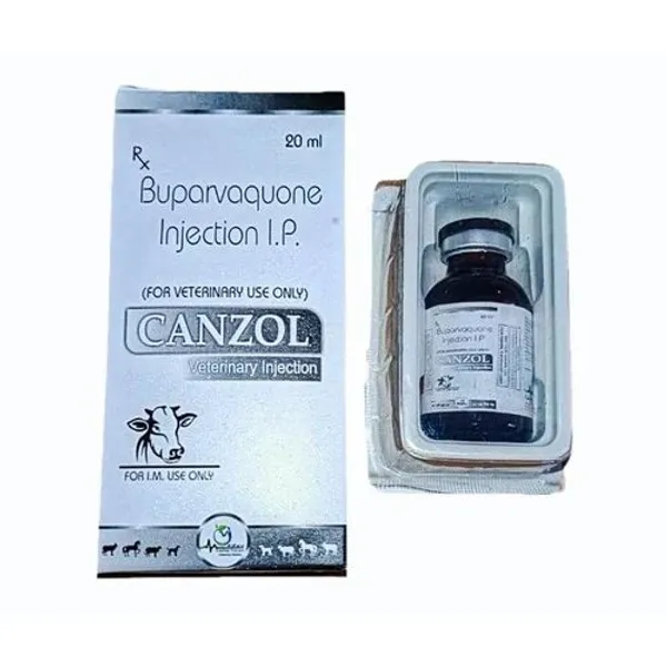 Buparvaquone Injection 20 Ml in Ready Brand for PCD Franchise 20 Ml — Buy Online from NexCure Health
