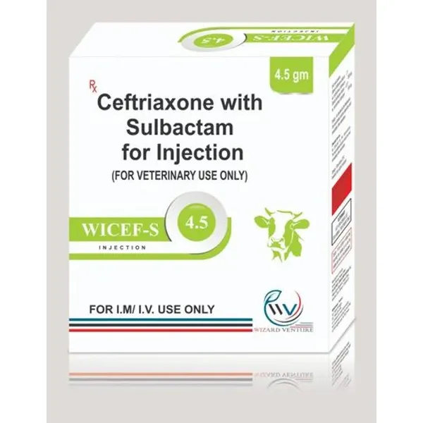CEFTRIAXONE SULBACTAM VETERINARY INJECTION IN PCD FRANCHISE — Buy Online from NexCure Health