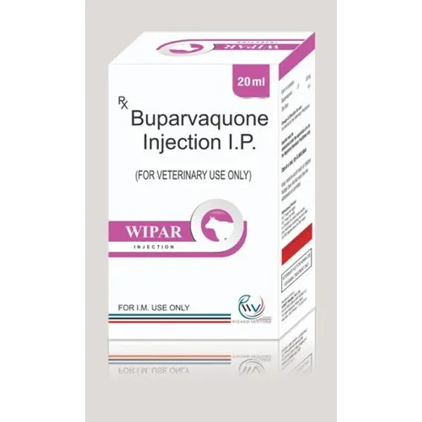VETERINARY INJECTION IN PCD PHARMA FRANCHISE WITH MONO POLY RIGHTS β Buy Online from NexCure Health