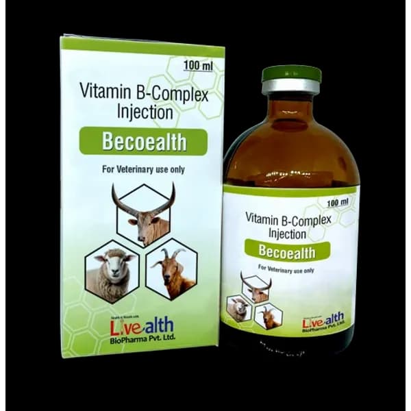 Vitamin B Complex Vet — Buy Online from NexCure Health